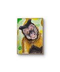 Tufted Capuchin Print